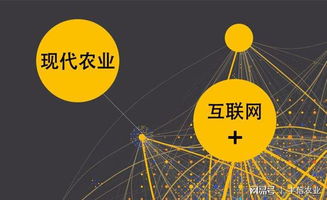 豐信農(nóng)業(yè) 互聯(lián)網(wǎng)時(shí)代下，信息服務(wù)如何重塑新農(nóng)業(yè)版圖